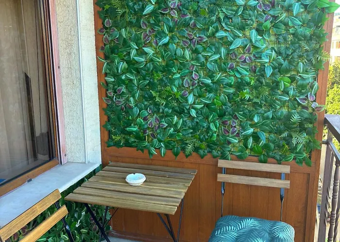 Dimoff Self Check-in * ヴァルナ